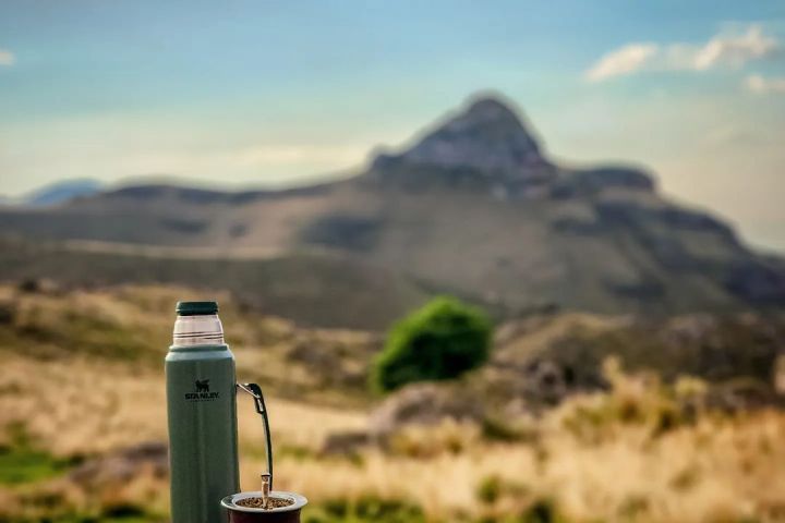 a close up of a desert field with a mountain in the background